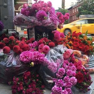 Meet your Posher, Kelly